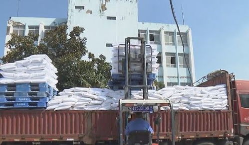 懷遠農產品香飄全國，水利建設鑄就豐收基石